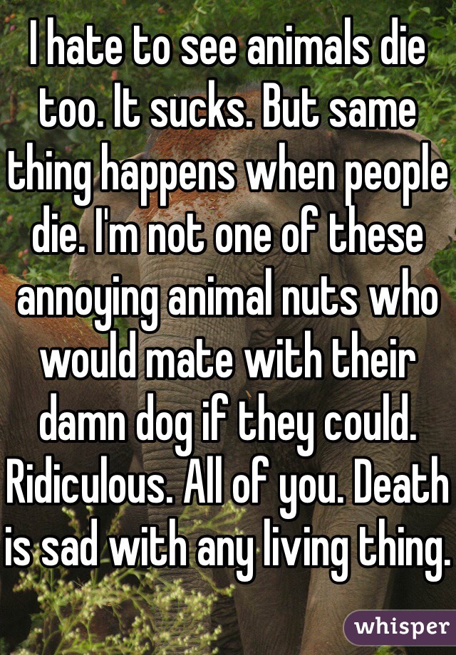 I hate to see animals die too. It sucks. But same thing happens when people die. I'm not one of these annoying animal nuts who would mate with their damn dog if they could. Ridiculous. All of you. Death is sad with any living thing.