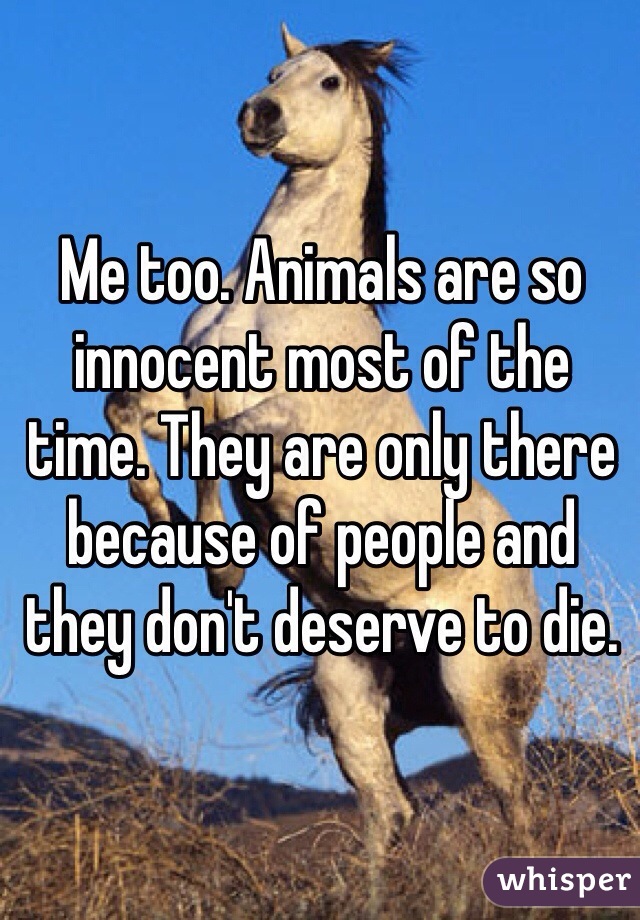 Me too. Animals are so innocent most of the time. They are only there because of people and they don't deserve to die. 