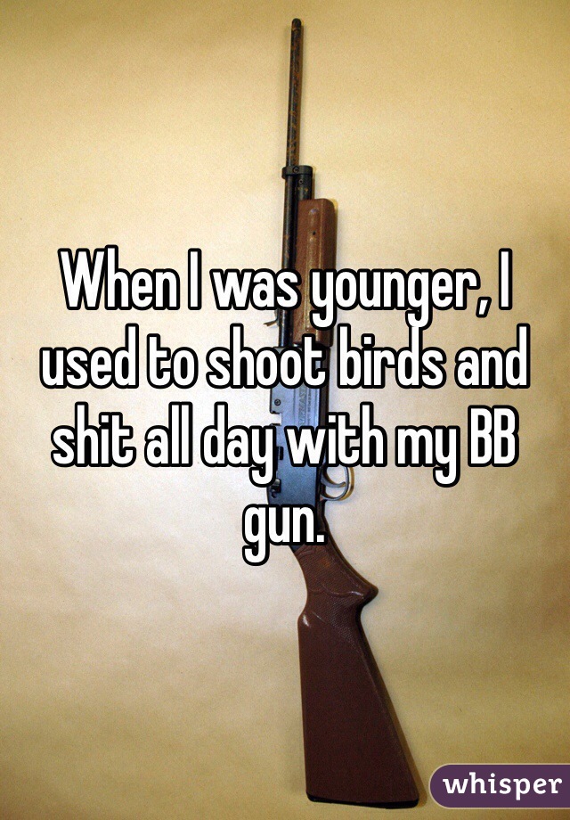 When I was younger, I used to shoot birds and shit all day with my BB gun.