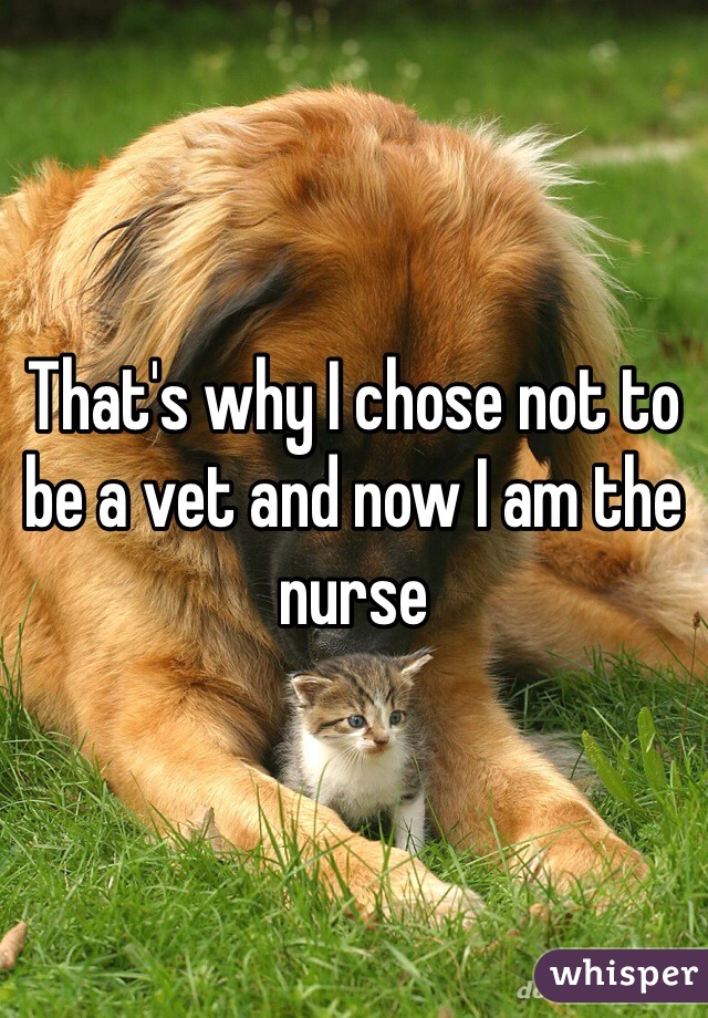 That's why I chose not to be a vet and now I am the nurse