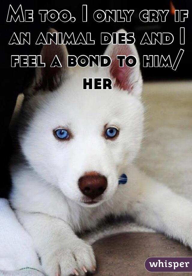 Me too. I only cry if an animal dies and I feel a bond to him/her