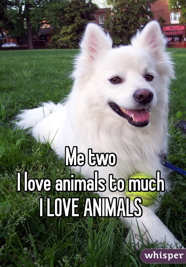 Me two 
I love animals to much 
I LOVE ANIMALS