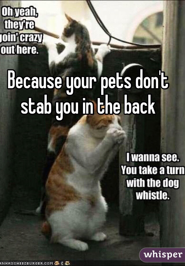 Because your pets don't stab you in the back