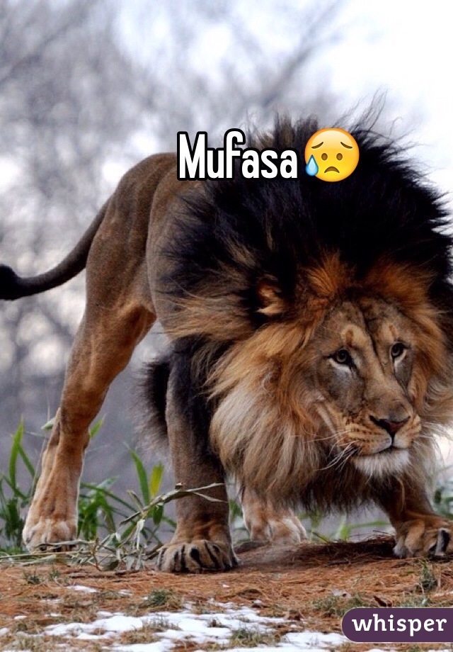 Mufasa😥