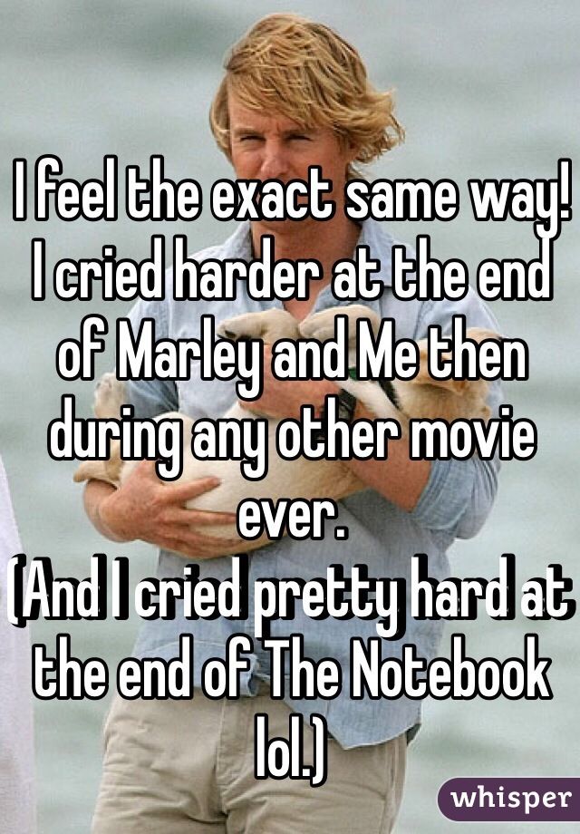 I feel the exact same way!
I cried harder at the end of Marley and Me then during any other movie ever. 
(And I cried pretty hard at the end of The Notebook lol.)