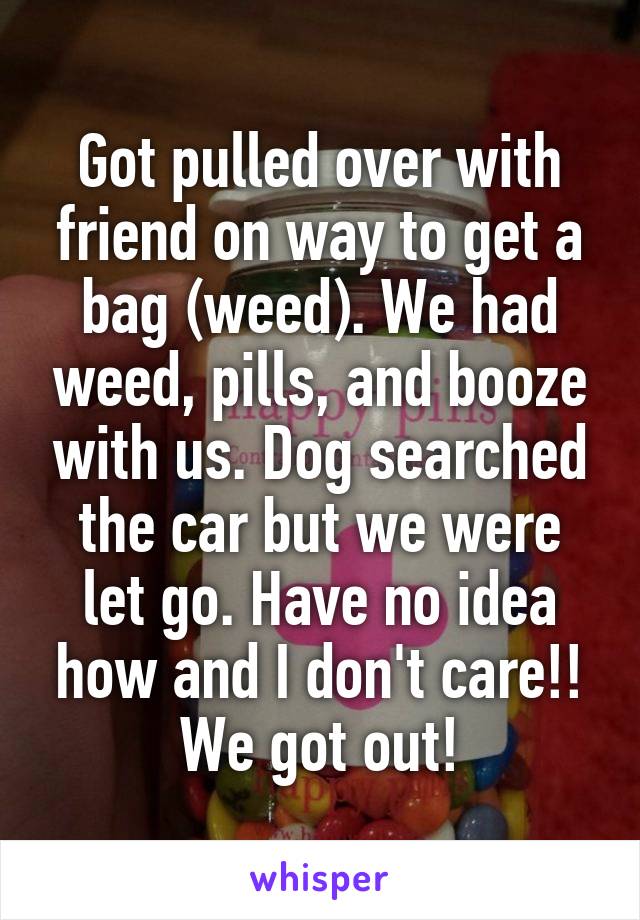 Got pulled over with friend on way to get a bag (weed). We had weed, pills, and booze with us. Dog searched the car but we were let go. Have no idea how and I don't care!! We got out!