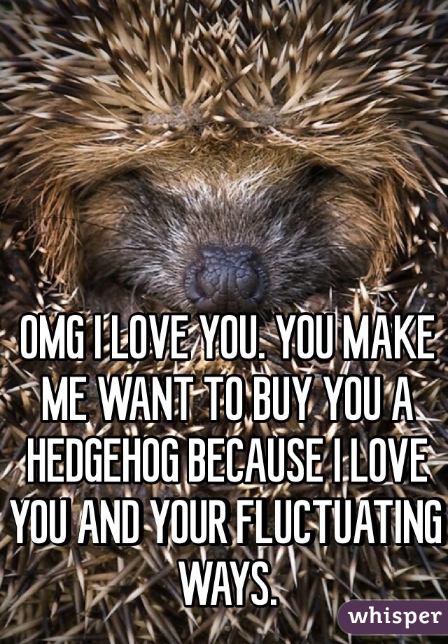 OMG I LOVE YOU. YOU MAKE ME WANT TO BUY YOU A HEDGEHOG BECAUSE I LOVE YOU AND YOUR FLUCTUATING WAYS. 