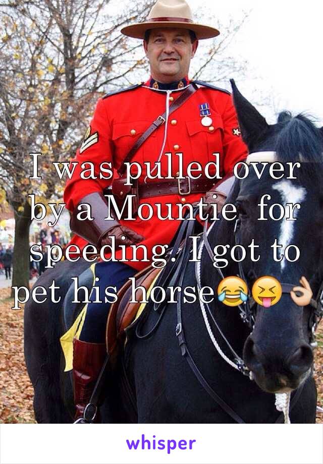 I was pulled over by a Mountie  for speeding. I got to pet his horse😂😝👌