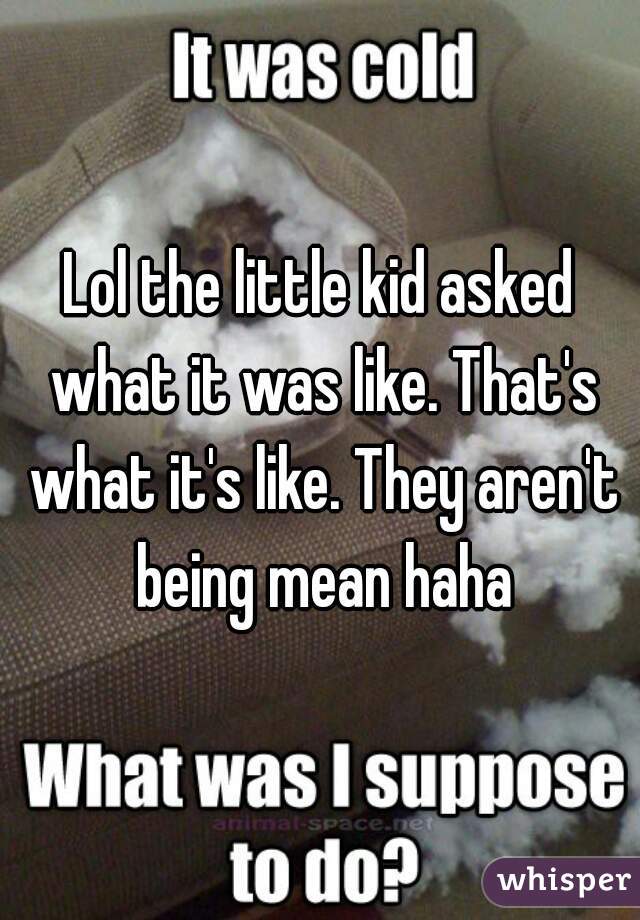 Lol the little kid asked what it was like. That's what it's like. They aren't being mean haha