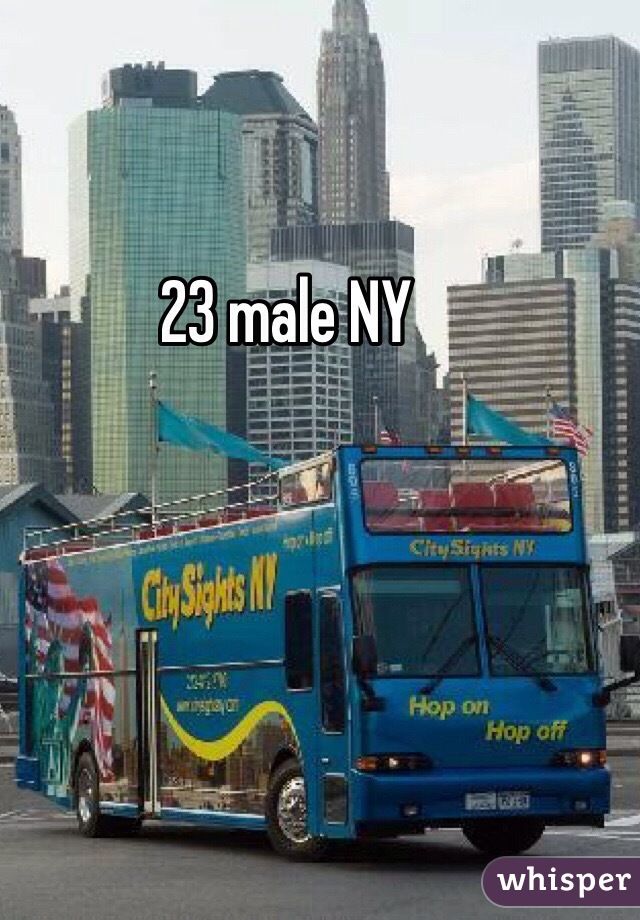 23 male NY