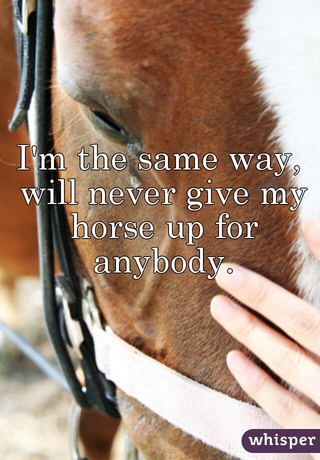 I'm the same way, will never give my horse up for anybody.