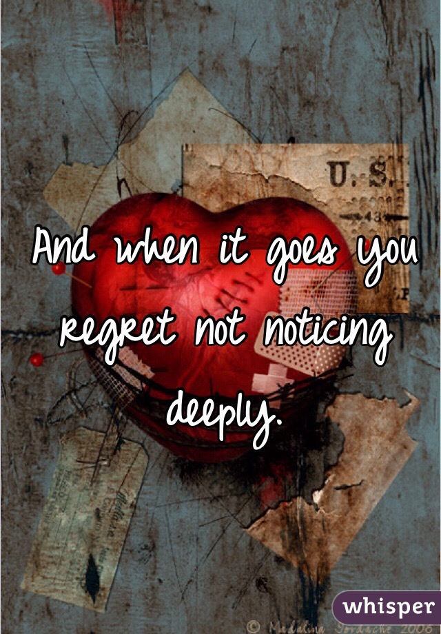 And when it goes you regret not noticing deeply. 