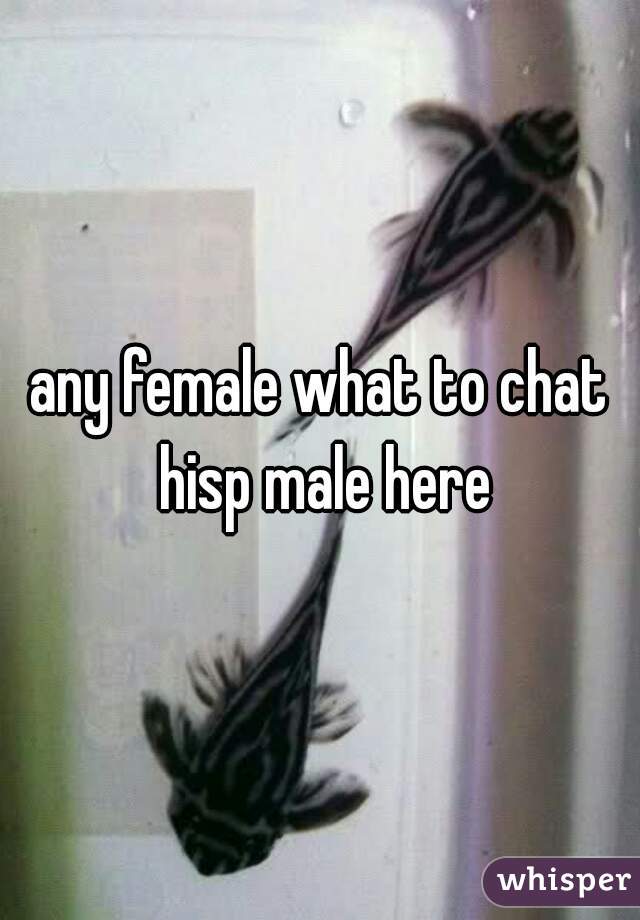 any female what to chat hisp male here