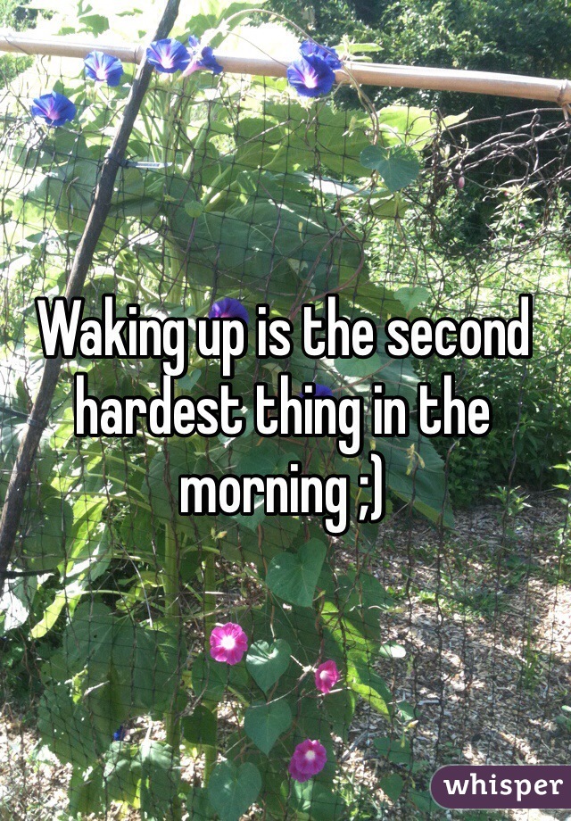 Waking up is the second hardest thing in the morning ;)
