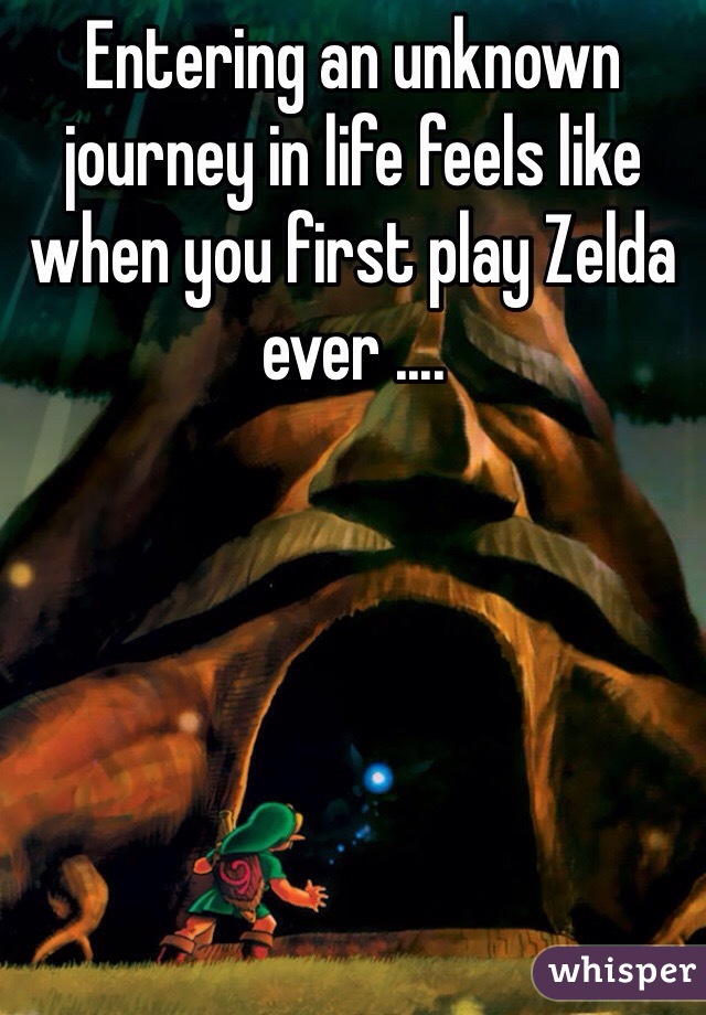 Entering an unknown journey in life feels like when you first play Zelda ever ....