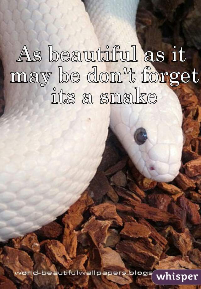 As beautiful as it may be don't forget its a snake