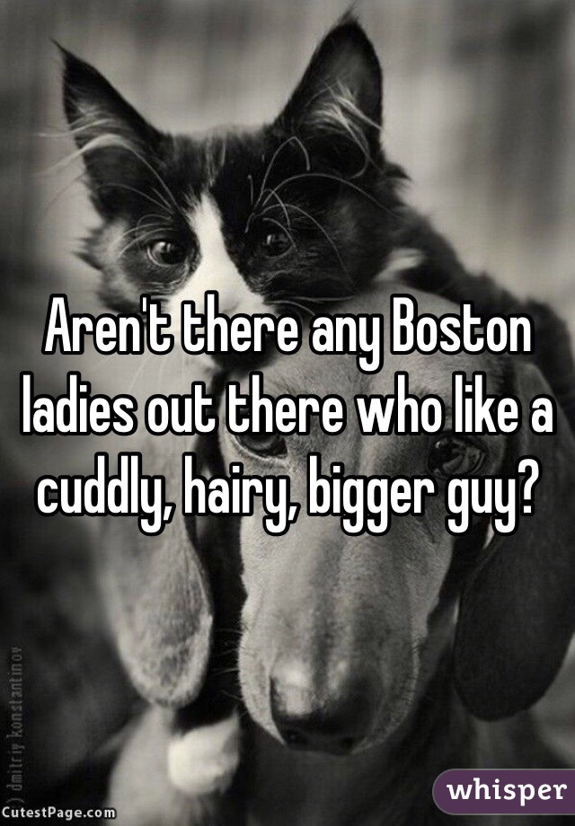 Aren't there any Boston ladies out there who like a cuddly, hairy, bigger guy?