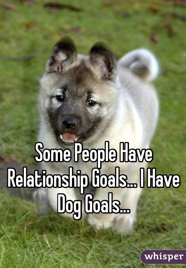Some People Have Relationship Goals... I Have Dog Goals... 