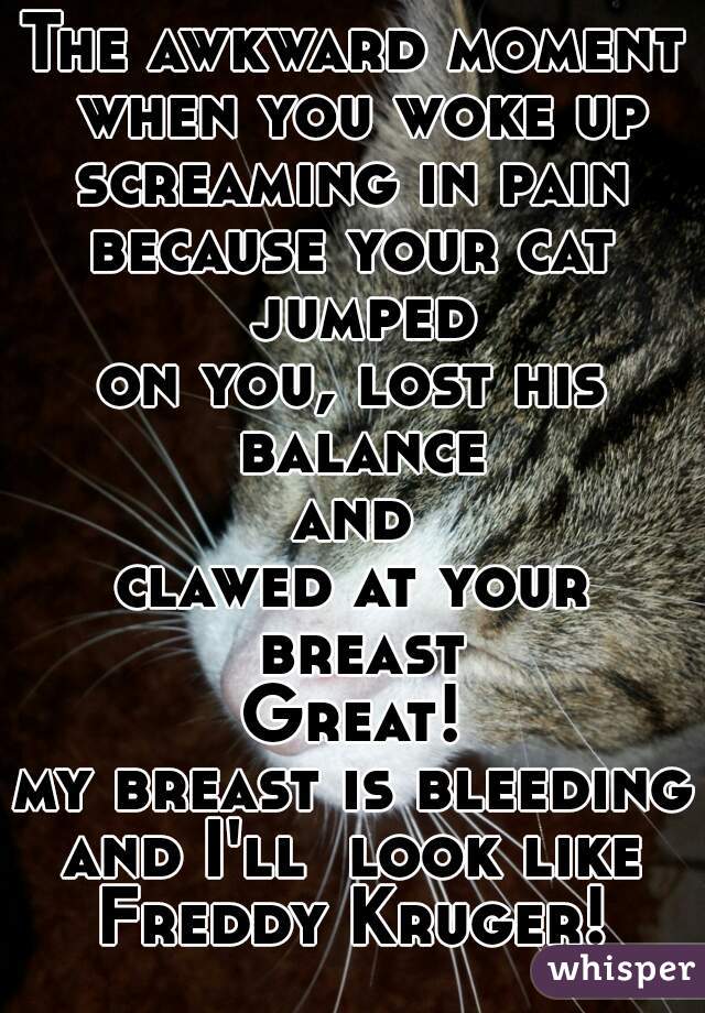 The awkward moment when you woke up
screaming in pain
because your cat jumped
on you, lost his balance
and
clawed at your breast
Great!
my breast is bleeding
and I'll  look like
Freddy Kruger!
