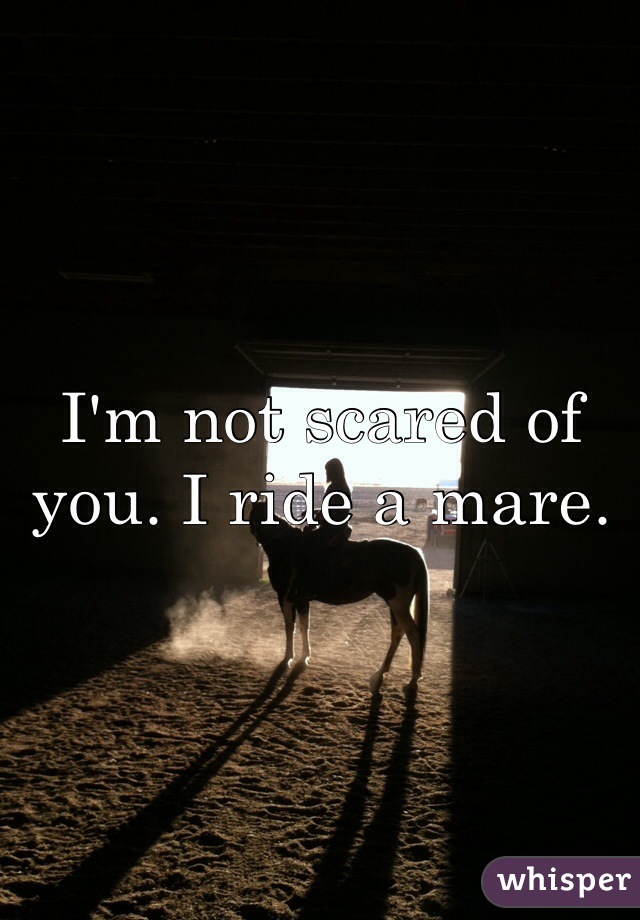 I'm not scared of you. I ride a mare. 