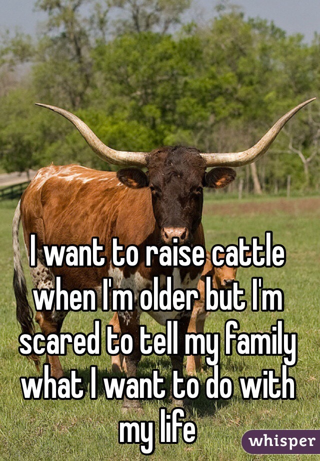 I want to raise cattle when I'm older but I'm scared to tell my family what I want to do with my life 