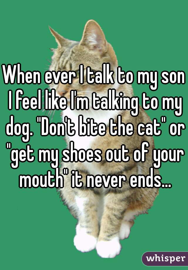 When ever I talk to my son I feel like I'm talking to my dog. "Don't bite the cat" or "get my shoes out of your mouth" it never ends...