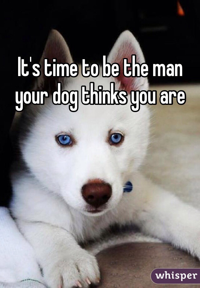 It's time to be the man your dog thinks you are 