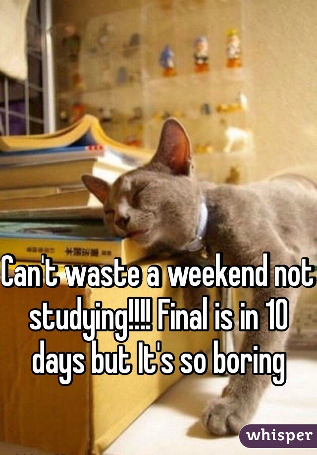 Can't waste a weekend not studying!!!! Final is in 10 days but It's so boring