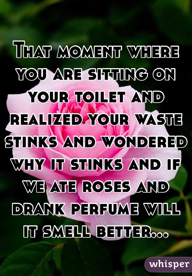 That moment where you are sitting on your toilet and realized your waste stinks and wondered why it stinks and if we ate roses and drank perfume will it smell better...