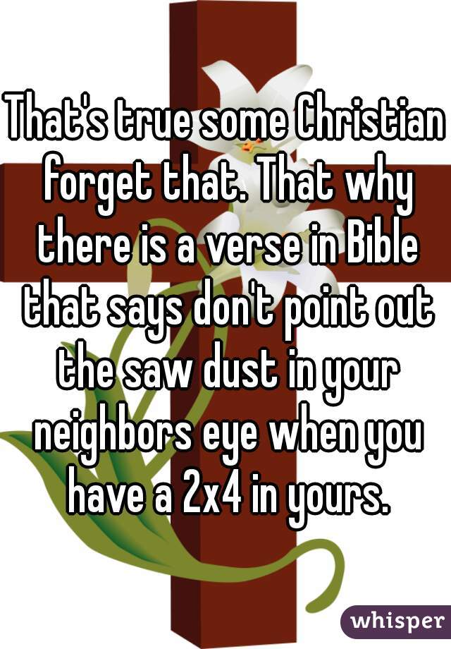 That's true some Christian forget that. That why there is a verse in Bible that says don't point out the saw dust in your neighbors eye when you have a 2x4 in yours.