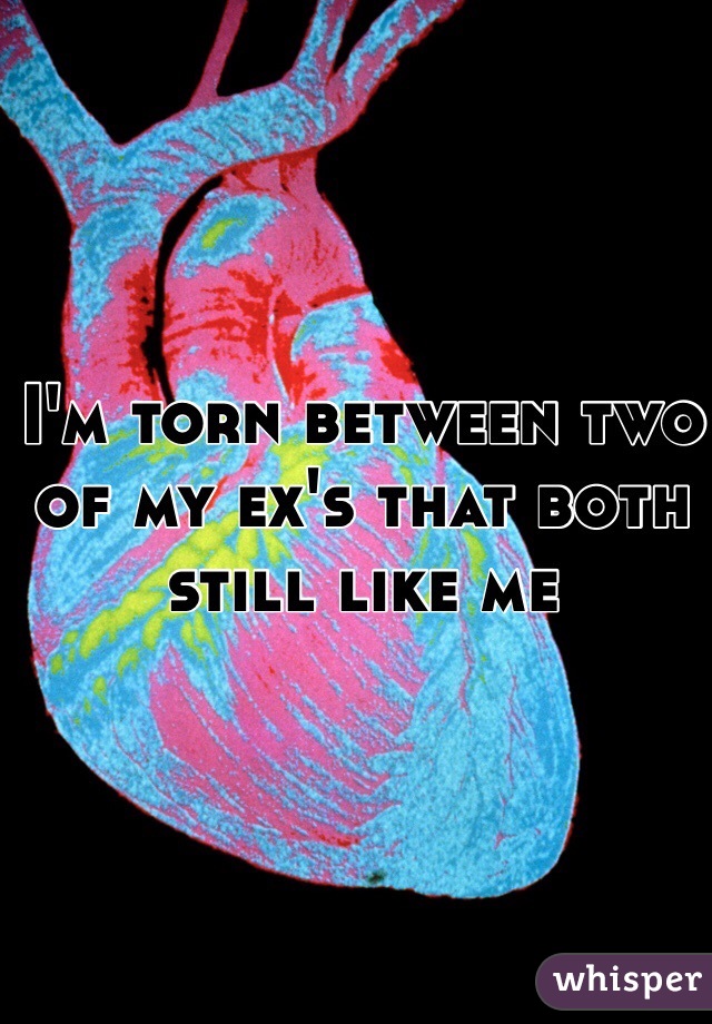 I'm torn between two of my ex's that both still like me