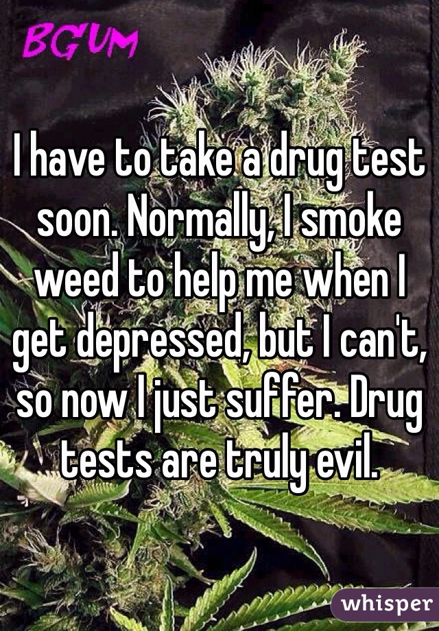 I have to take a drug test soon. Normally, I smoke weed to help me when I get depressed, but I can't, so now I just suffer. Drug tests are truly evil.