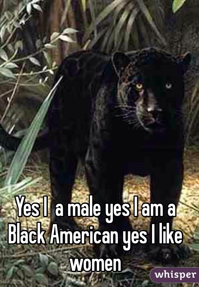 Yes I  a male yes I am a Black American yes I like women 