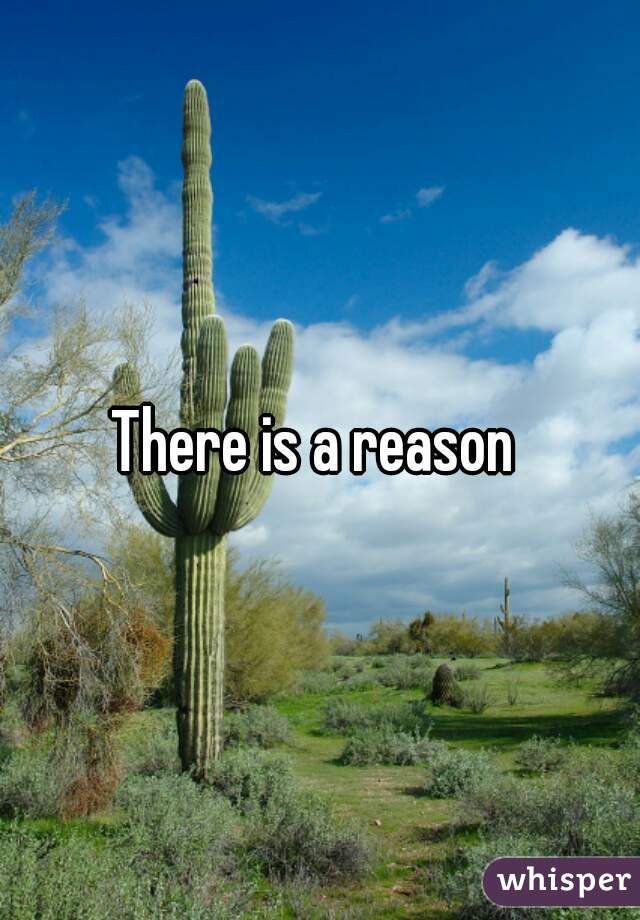 There is a reason 