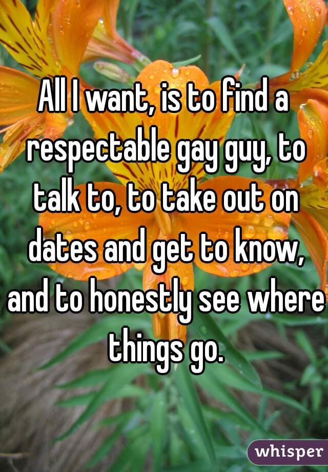 All I want, is to find a respectable gay guy, to talk to, to take out on dates and get to know, and to honestly see where things go.