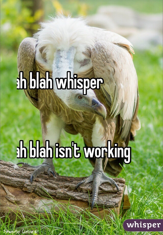 Blah blah whisper


  Blah blah isn't working
