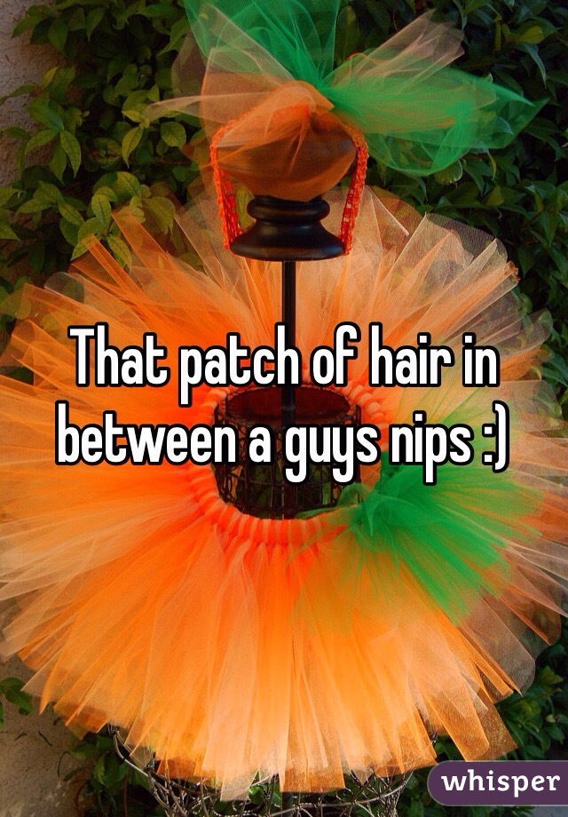 That patch of hair in between a guys nips :)