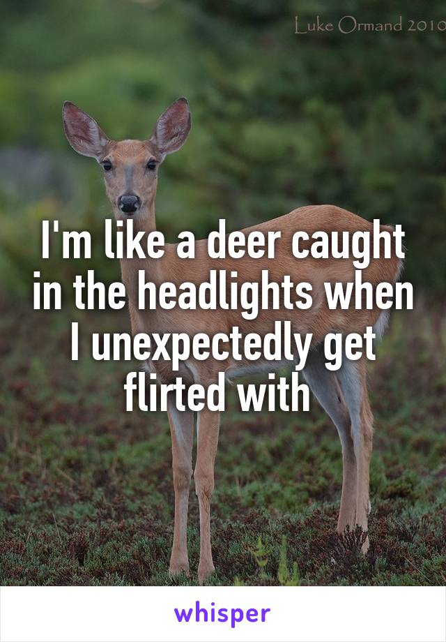 I'm like a deer caught in the headlights when I unexpectedly get flirted with 