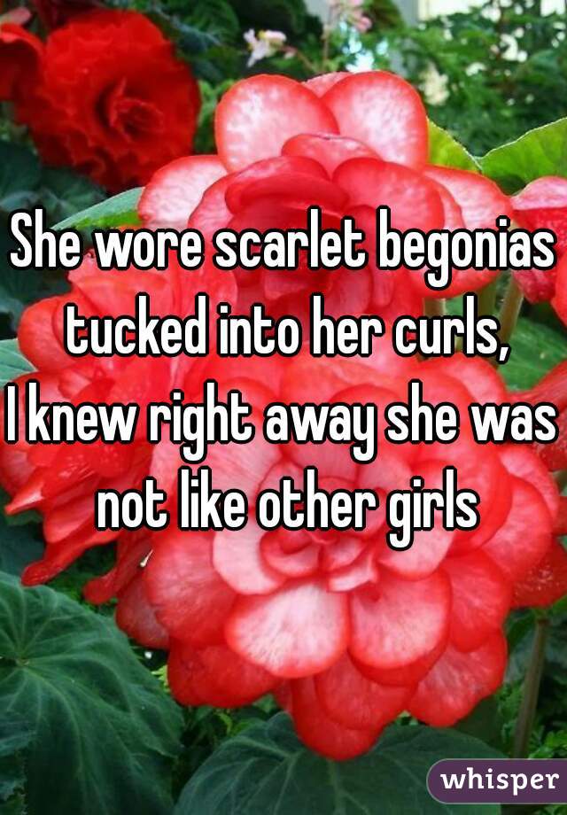 She wore scarlet begonias tucked into her curls,
I knew right away she was not like other girls