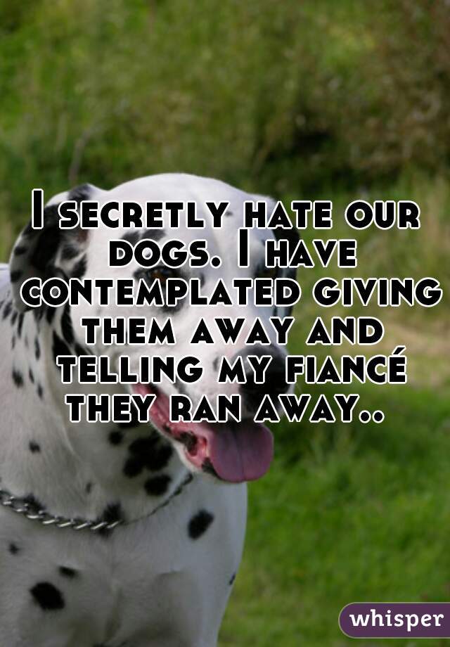I secretly hate our dogs. I have contemplated giving them away and telling my fiancé they ran away.. 