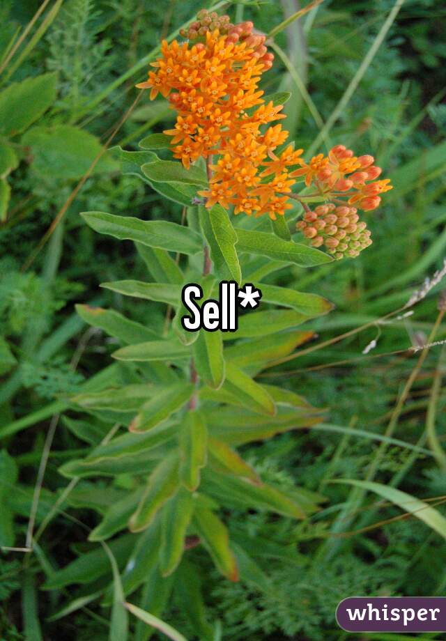 Sell*