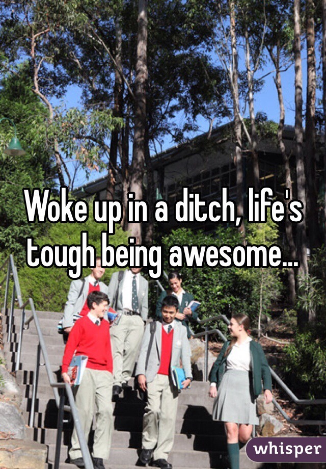 Woke up in a ditch, life's tough being awesome...