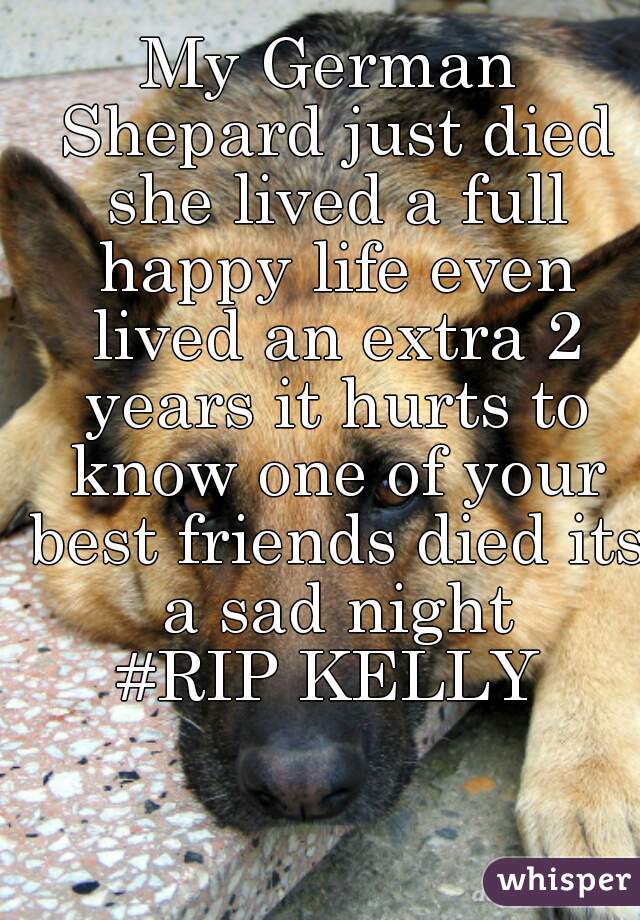 My German Shepard just died she lived a full happy life even lived an extra 2 years it hurts to know one of your best friends died its a sad night
#RIP KELLY