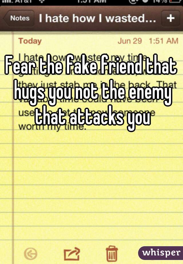 Fear the fake friend that hugs you not the enemy that attacks you