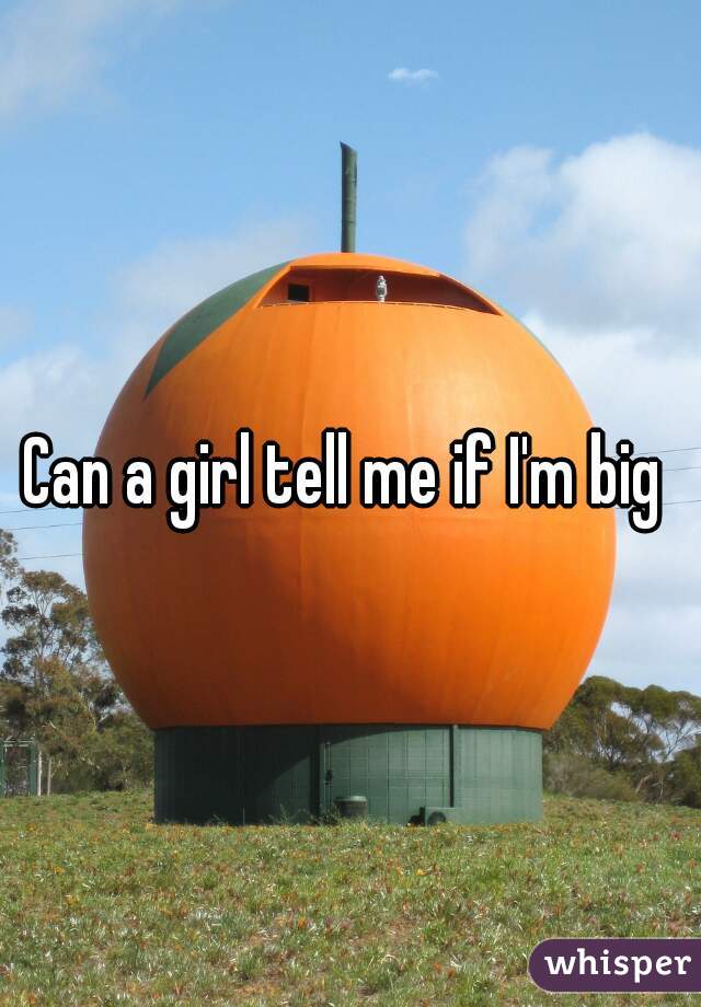 Can a girl tell me if I'm big 