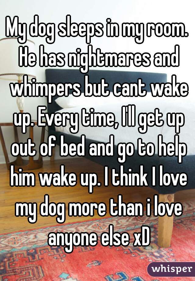 My dog sleeps in my room. He has nightmares and whimpers but cant wake up. Every time, I'll get up out of bed and go to help him wake up. I think I love my dog more than i love anyone else xD