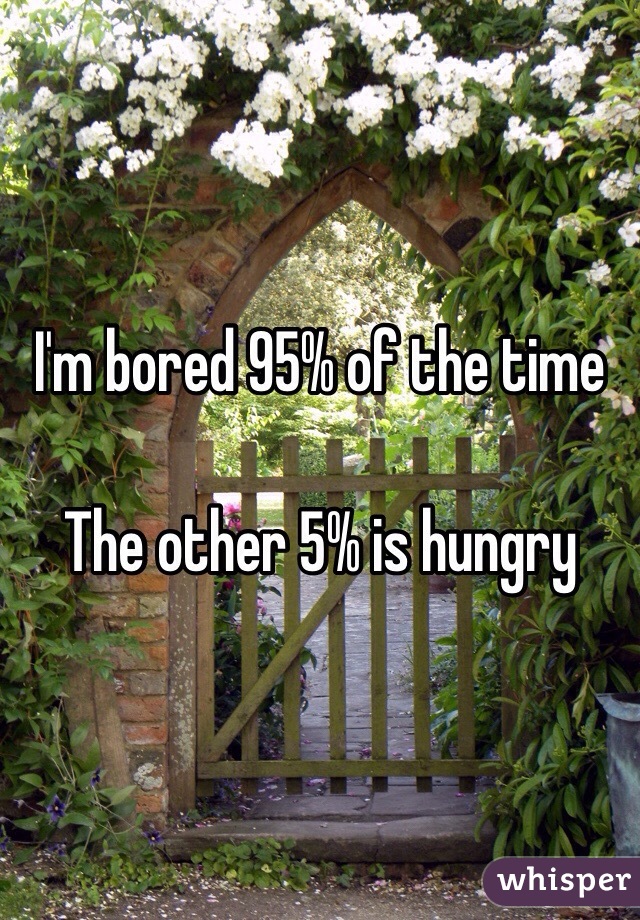 I'm bored 95% of the time

The other 5% is hungry