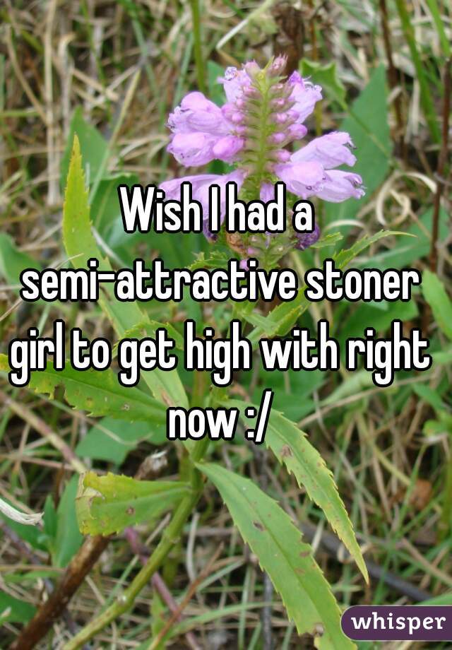 Wish I had a semi-attractive stoner girl to get high with right now :/