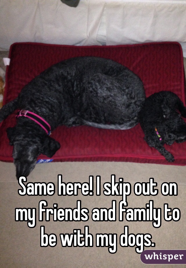 Same here! I skip out on my friends and family to be with my dogs. 