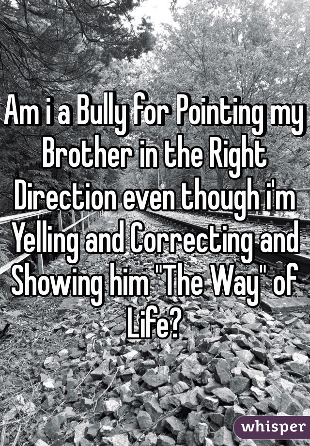 Am i a Bully for Pointing my Brother in the Right Direction even though i'm Yelling and Correcting and Showing him "The Way" of Life?